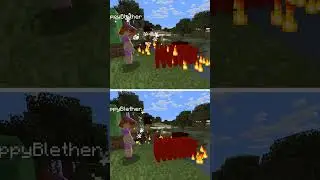 Minecraft Spot The Difference: Magma #minecraft  #shortsvideo #mcyt