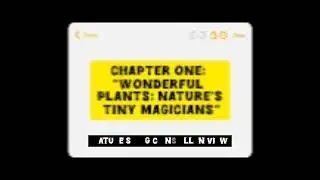 Chapter One: 