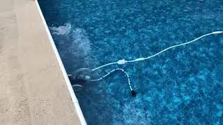 July 4th !  Polaris 380 Pool Cleaner Review Vac-Sweep - Vacuum Your Pool the Easy Way ! Salt Water