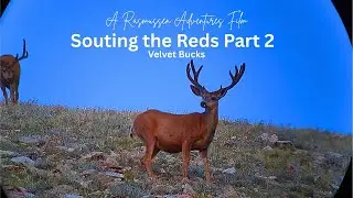 Scouting the Reds Part 2