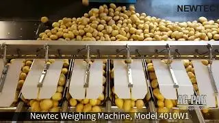 NEWTEC 4010W1 Bulk Weigher for Extremely Large Portions and Products