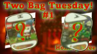 Two Bag Tuesday! The Big Man & The Houseplant - LEGO Speed Build and Review