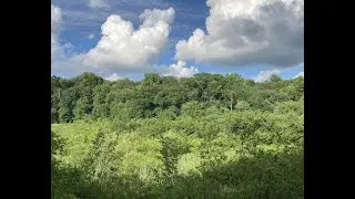 Nature, Religion and Culture