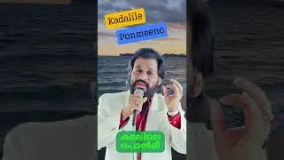 Kadalile Ponmeeno | Timeless Malayalam Classic | Chandrahasam #kjyesudas  #malayalamsong #oldisgold
