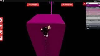 Raspberry Stage - THE ULTIMATE OBBY
