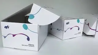Nozomi C18000 Versioning and Variable Data Printing Capabilities