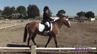 075D Ella Garcia on Rosewood August JR Novice Dressage Shepherd Ranch June 2016