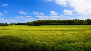 Nature in 4K UHD - Unreal Footage Compilation