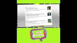 Podatek od krasnala 😲