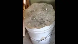 Nutrient Tea