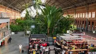 Top 5 Countries for Expats: Balancing Cost, Culture, and Quality of Life