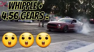 S550 Mustang, Whipple and 4.56 gears 1/4 mile drag racing! What will it run?!