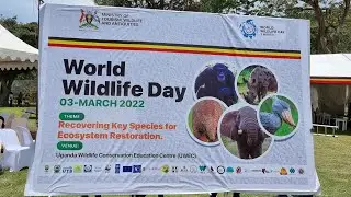 INTERNATIONAL WILDLIFE DAY CELEBRATION LIVE @UWEC #MTWA #wildlife #zoo