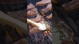 Lamb Chops With Mint Sauce