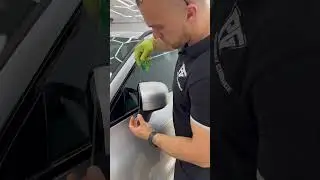 Wrap Side Mirror Fast with Horseshoe Tool
