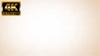Soft White Gradient Background for Photography, Video & Product Lighting | 1 Hour