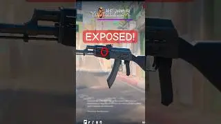 I FOUND OUT HOW THE AK47 SLATE SKIN WAS MADE #expose #skins #cs2 #memes