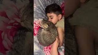Cat Refuses to Leave Baby&rsquo;s Side 🐾 | The Most Heartwarming Moment Ever