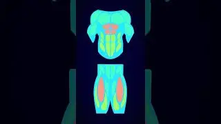 Is Buying Exercise Bikes Online a Scam? | Bionfit &ndash; Trusted Fitness Brand You Can Rely On