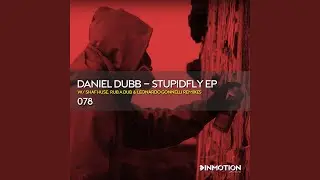 Stupidfly (Rub A Dub Remix)
