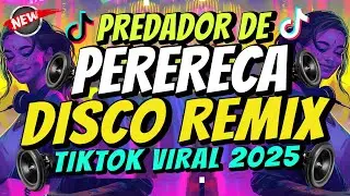 PREDADOR DE PERERECA (DISCO REMIX) Viral TikTok 2025 - Dj Johnrey