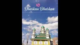 islamic whatsapp status ||islamic status@HafizTahirQadri #natepaak #hearttouchingnaat #love