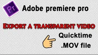 How to export transparent video in premiere pro /mov file export premiere pro