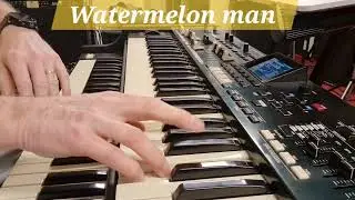 Hammond SKX pro! Watermelon man!