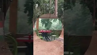 #Forest Resort Banashree#Banashree Resort in Middle Of Joypur Forest#Roadside Resort in Bankura view