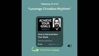 Andrew Huberman &mdash; Leverage Circadian Rhythms #kwip #podcast #podcastsummary #andrewhuberman