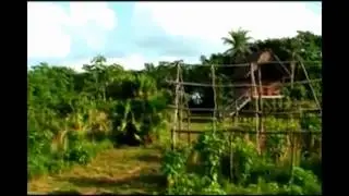 Regi&oacute;n 10: La Mosquitia