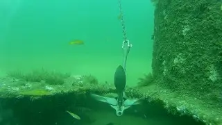 North East England  Diving