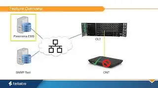 Advanced Procedures: Using SNMP on Tellabs OLTs