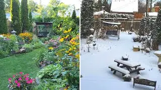 My Garden in Winter | Canada
