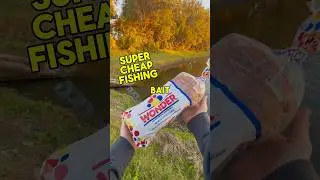 The Cheapest Bait For Fishing! #shorts #bassfishing