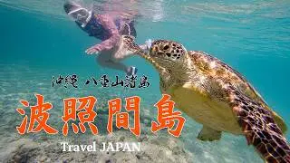 波照間島をゆく！～ニシ浜ビーチで海亀に出会う旅～｜海とお酒?と絶景と。