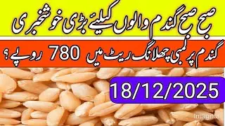 Wheat support price in Pakistan 2025-26//gundam price today//local farmers