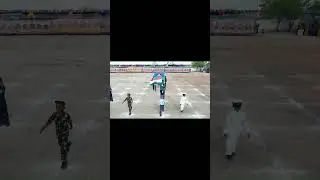 Patriotism in Action!