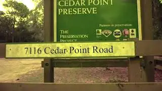 Cedar Point Perserve in Jacksonville, Florida part 1