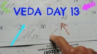 #SSSVEDA Day 13