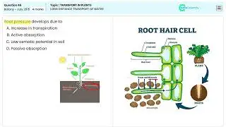 NEET Botany Q46 Long Distance Water Movement in Plants Explained July 2015