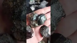 Dark Coffee Brown Titanite Crystals!! Ontario Rockhounding