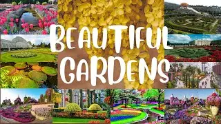 10 MOST BEAUTIFUL GARDENS IN THE WORLD