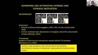 WFNR Silver Jubilee Webinar - Motivation in Neurorehabilitation