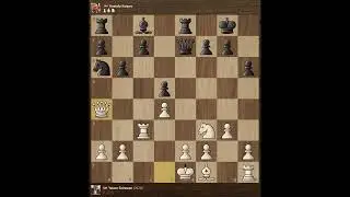 Yasser Seirawan vs Anatoly Karpov | London 1982