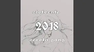 2018 (feat. slokvenko)