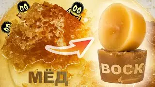 ВОСК из МЁДа 🍯 в сотах