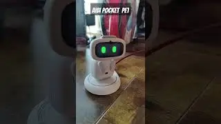 AIBI Robot - AIBI Pocket Pet Welcome home #robot #robotic #aibi #aibipocketrobot #livingai