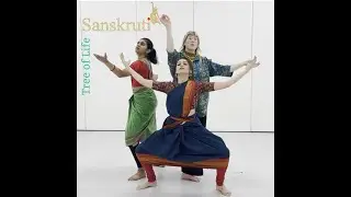 Tree of Life development - DanceEast