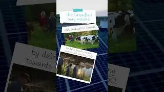 Working towards net zero by 2050. That's the Canadian Way.